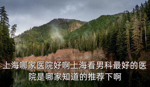 上海哪家醫(yī)院好啊上?？茨锌谱詈玫尼t(yī)院是哪家知道的推薦下啊