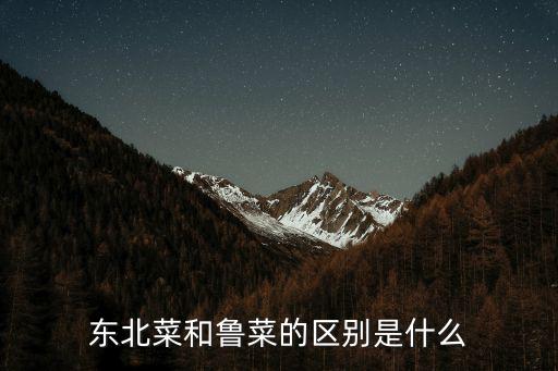東北菜和魯菜的區別是什么