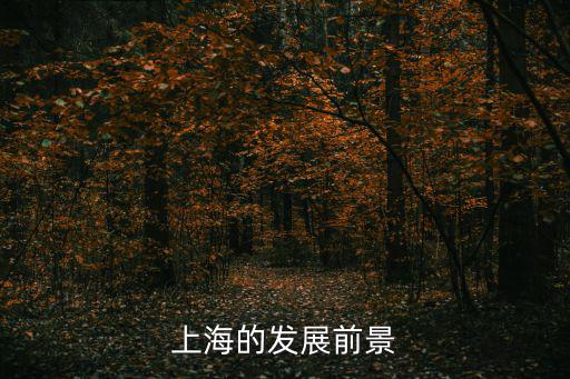 上海的發展前景