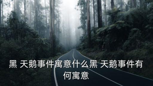黑 天鵝事件寓意什么黑 天鵝事件有何寓意
