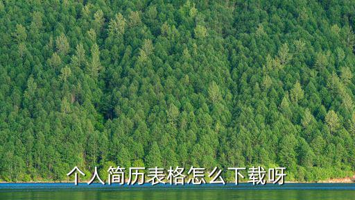 個人簡歷表格怎么下載呀