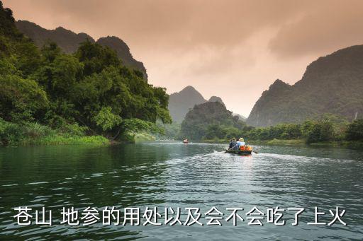 蒼山 地參的用處以及會不會吃了上火