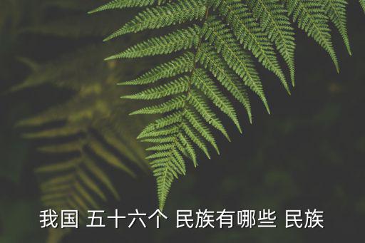 我國(guó) 五十六個(gè) 民族有哪些 民族