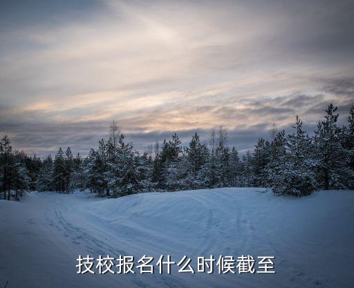 技校報名什么時候截至