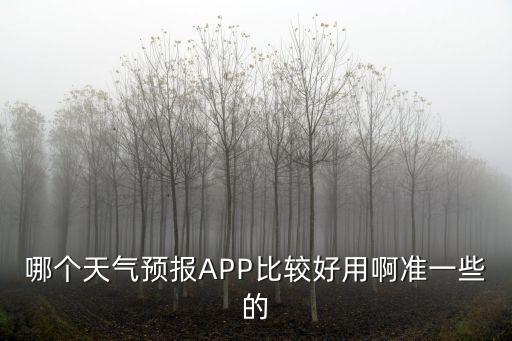 哪個天氣預報APP比較好用啊準一些的