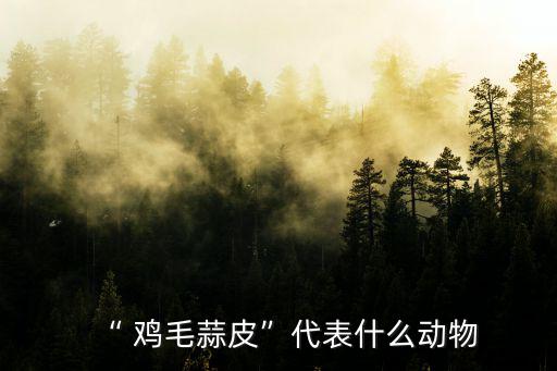 雞毛蒜皮,選民投票反對派候選人競選廣播
