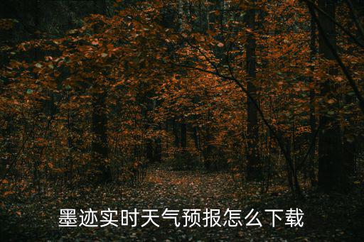 下載最新版本天氣預(yù)報，如何下載天氣預(yù)報800351版本