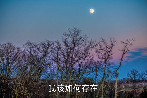 我該如何存在