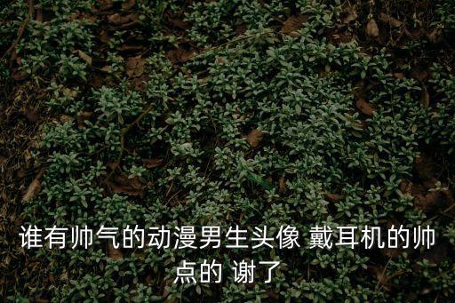 誰有帥氣的動漫男生頭像 戴耳機的帥點的 謝了