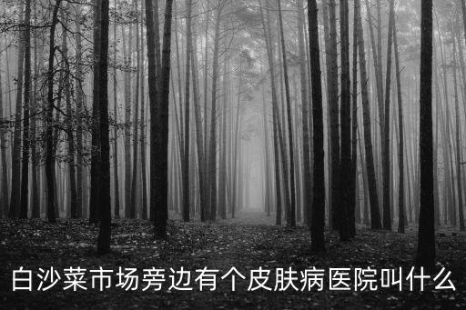 白沙菜市場旁邊有個(gè)皮膚病醫(yī)院叫什么