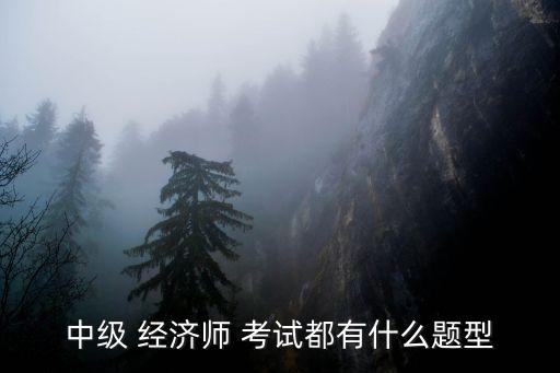 中級 經濟師 考試都有什么題型