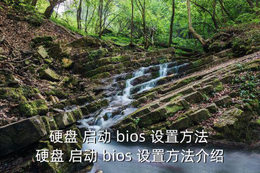 硬盤 啟動 bios 設(shè)置方法 硬盤 啟動 bios 設(shè)置方法介紹