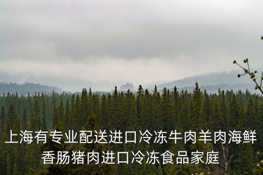 上海有專業配送進口冷凍牛肉羊肉海鮮香腸豬肉進口冷凍食品家庭