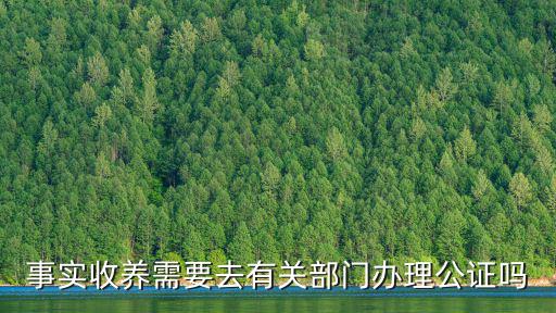事實收養需要去有關部門辦理公證嗎