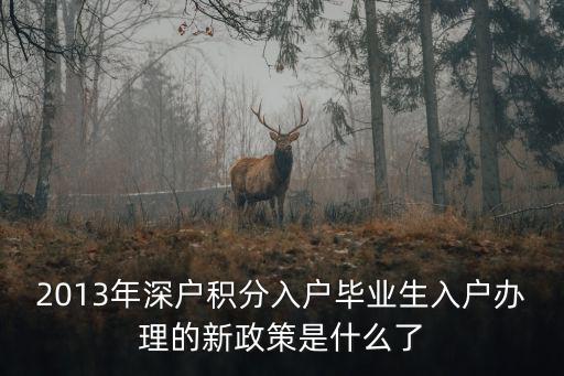 2013年深戶積分入戶畢業生入戶辦理的新政策是什么了