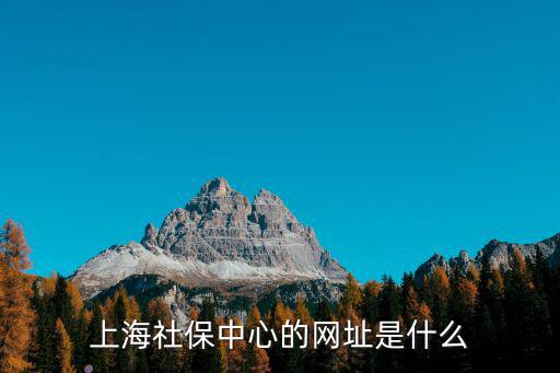 上海社保中心的網址是什么