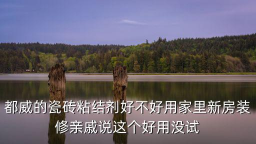都威的瓷磚粘結劑好不好用家里新房裝修親戚說這個好用沒試
