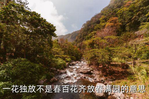 一花獨放不是春百花齊放春滿園的意思
