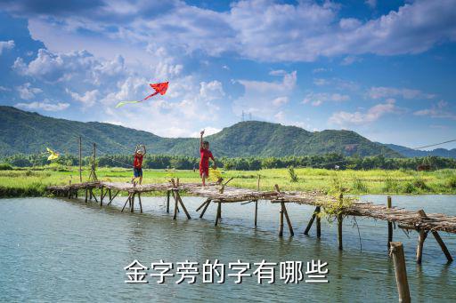 金字旁的字有哪些