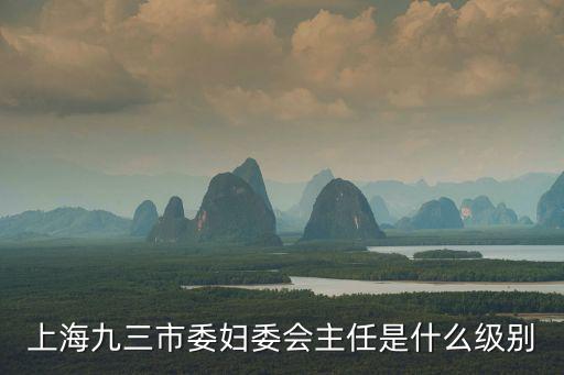 上海九三市委婦委會主任是什么級別