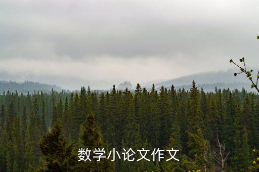 數學小論文作文