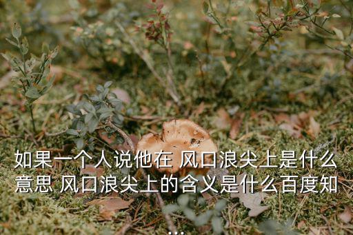 如果一個人說他在 風口浪尖上是什么意思 風口浪尖上的含義是什么百度知...