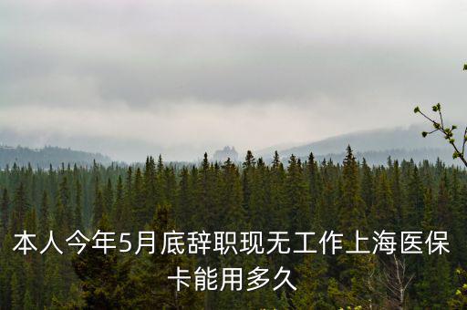 本人今年5月底辭職現無工作上海醫保卡能用多久