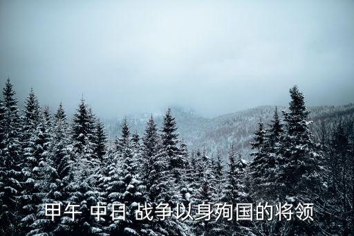  甲午 中日 戰(zhàn)爭(zhēng)以身殉國(guó)的將領(lǐng)