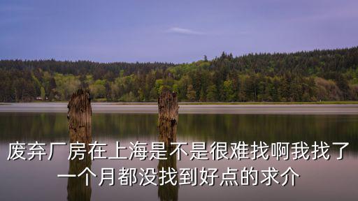 廢棄廠房在上海是不是很難找啊我找了一個(gè)月都沒(méi)找到好點(diǎn)的求介