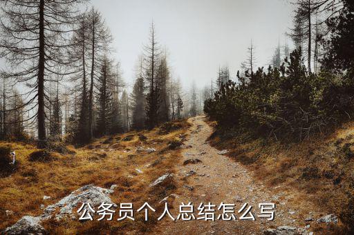 公務員個人總結怎么寫