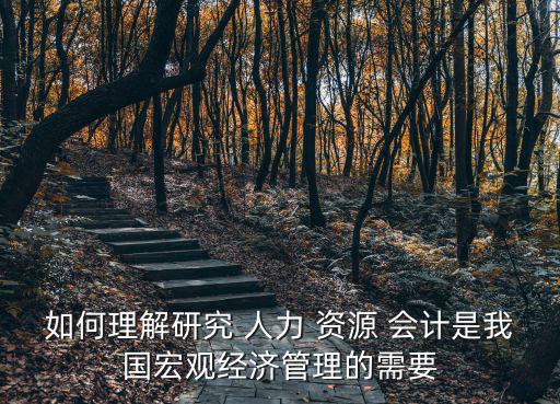 如何理解研究 人力 資源 會計是我國宏觀經濟管理的需要
