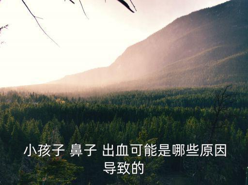  小孩子 鼻子 出血可能是哪些原因導致的