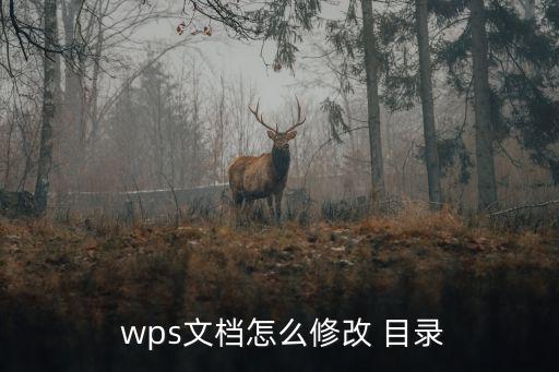  wps文檔怎么修改 目錄