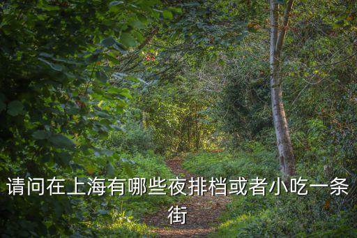 請問在上海有哪些夜排檔或者小吃一條街