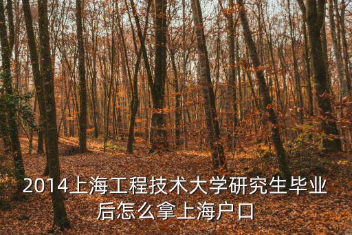 2014上海工程技術(shù)大學(xué)研究生畢業(yè)后怎么拿上海戶口