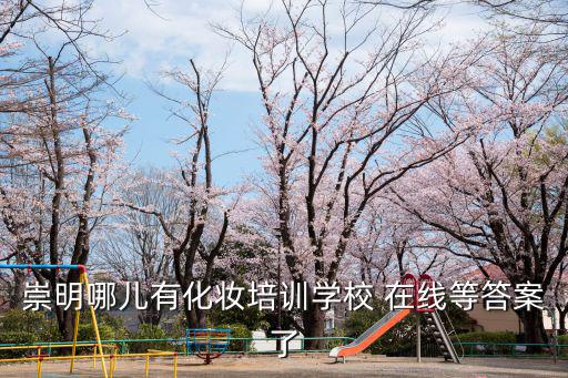 崇明哪兒有化妝培訓學校 在線等答案了