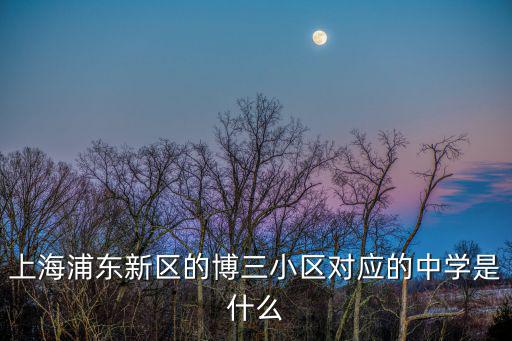 上海浦東新區(qū)的博三小區(qū)對(duì)應(yīng)的中學(xué)是什么