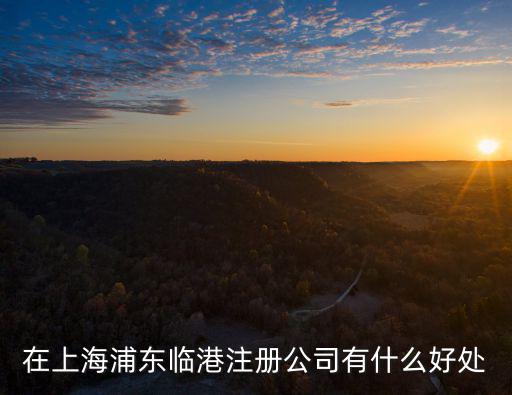 在上海浦東臨港注冊公司有什么好處