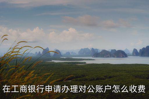 在工商銀行申請辦理對公賬戶怎么收費