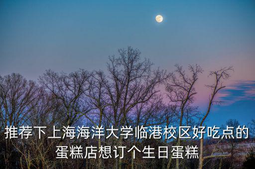 推薦下上海海洋大學(xué)臨港校區(qū)好吃點(diǎn)的蛋糕店想訂個(gè)生日蛋糕