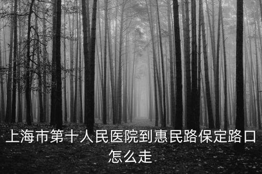 上海市第十人民醫院到惠民路保定路口怎么走