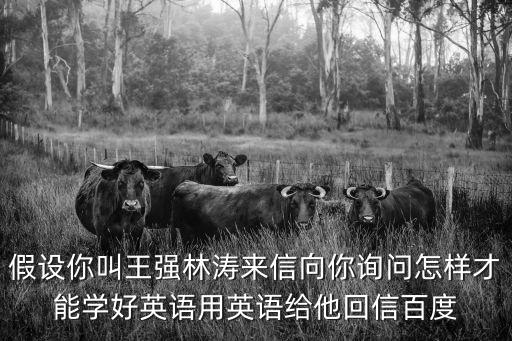 上海市林濤鋁業，山西中天巨能鋁業有限公司怎么樣