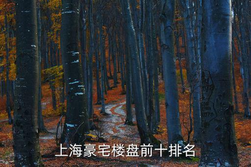 上海豪宅樓盤前十排名