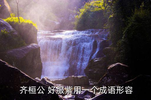  齊桓公 好服紫用一個(gè)成語(yǔ)形容