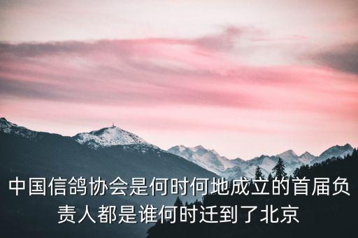 上海市信鴿協會張老師，信鴿足環號DV2016一0684337