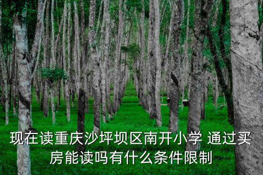 現(xiàn)在讀重慶沙坪壩區(qū)南開小學(xué) 通過買房能讀嗎有什么條件限制