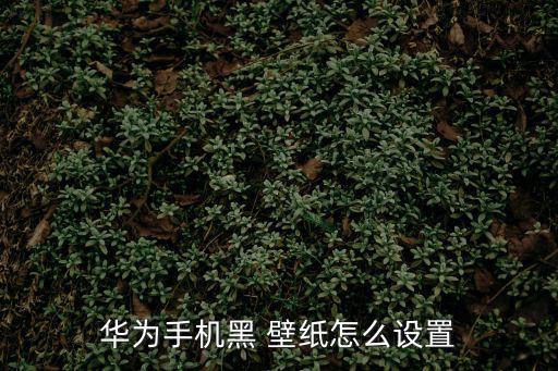 華為手機黑 壁紙怎么設(shè)置