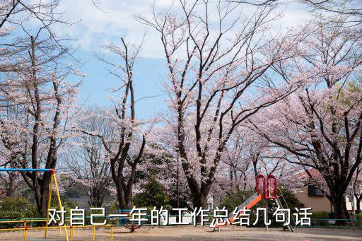 總結(jié)語(yǔ)，試用期工作總結(jié)寫(xiě)一句話