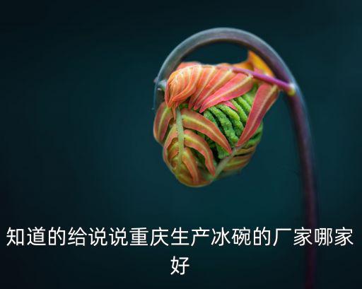 知道的給說說重慶生產(chǎn)冰碗的廠家哪家好