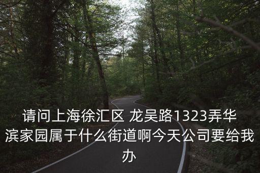 上海市龍吳路1323弄是哪個區，上海市徐匯區龍吳路1323弄華濱家園所屬街道是哪個啊急